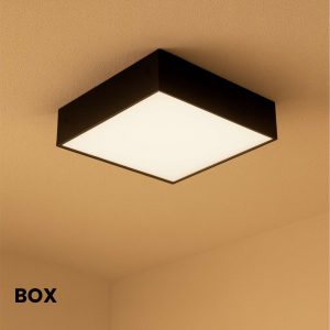 Box